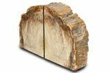 Tall Polished Petrified Wood Bookends #321915-1